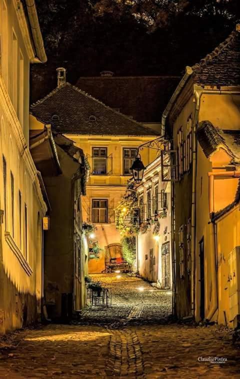 Pensiunea Lelila Inn Sighişoara Exterior foto